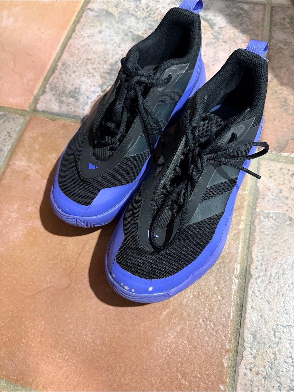 adidas Black and Purple Women's volleyball/basketball Shoes